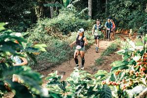 BIB: 
                            <button type="button" onclick="openModal(25852400)" class="btn btn-primary btn-sm float-right btn-popup" data-toggle="modal" data-target=".modal-high-quality">
                        <i class="fas fa-shopping-cart"></i> Add to Cart
                    </button>
                                            <button type="button" onclick="isThisMe(25852400, true)" class="btn btn-success btn-sm float-right btn-popup btn-isme hidden" data-toggle="tooltip" data-placement="bottom" title="นี่คือรูปของคุณใช่ไหม คลิกที่นี่เพื่อเอาเข้าอัลบั้ม">
                        <i class="fas fa-plus"></i> Add to album
                    </button>
                    <button type="button" onclick="isThisMe(25852400, false)" class="btn btn-warning btn-sm float-right btn-popup btn-isnotme hidden">
                        <i class="fas fa-ban"></i> Remove from album
                    </button>